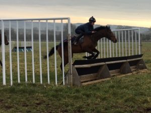 Look My Way preparing for Cheltenham under Brain Hughes