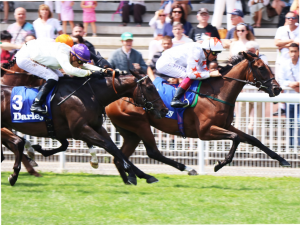 Signora Cabello winning the Gr.2 Prix Robert Papin