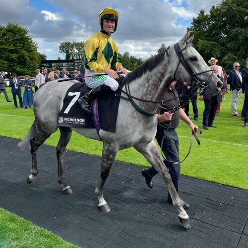 lord-riddiford-glorious-goodwood-win-aug-1